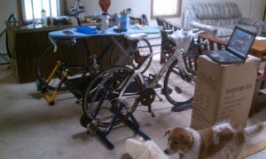 Last year's 6 month indoor setup