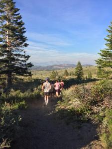 11535793_10207211737995546_2646343918890904387_n (1)